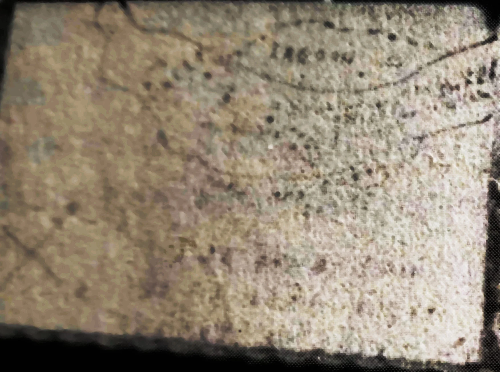 palmer map=1.webp
