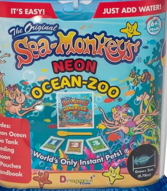 Sea-Monkeys.webp