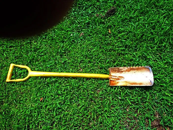 Tool shovel-700.webp