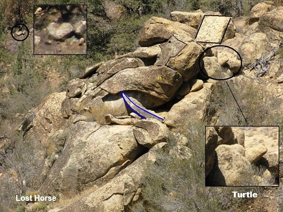 Turtle Marker 022.webp