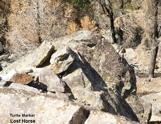Turtle Marker 026.webp