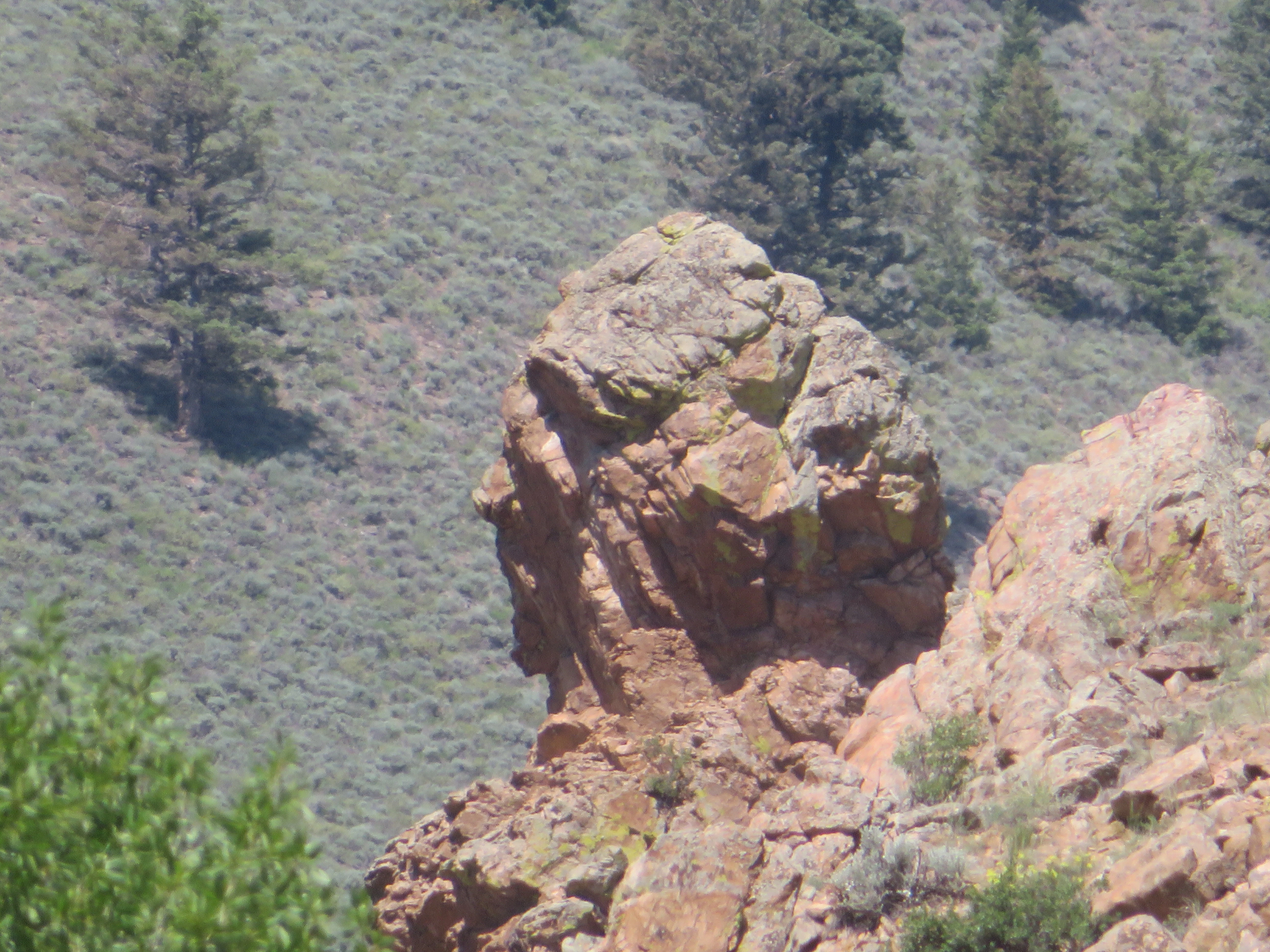 Two Face Trail.webp