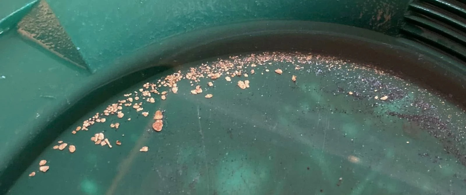 upper chetco gold.webp