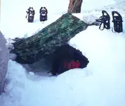 The Ice Box.webp