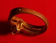 ring1.webp