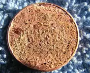 1000th coin reverse 12-10-05.webp