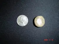 Resize of DSC00518.webp