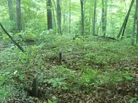 DSCF0266.webp