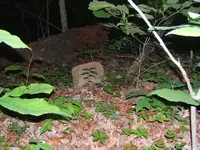 DSCF0281.webp