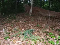 DSCF0287.webp