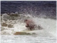 Surfing.webp