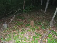 DSCF0272.webp