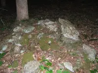 DSCF0295.webp