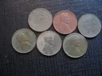 6 wheats.webp