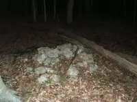 DSCF0300.webp