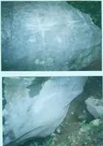 eagle001.webp
