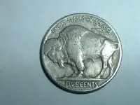 buffalo352.webp