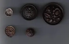 Buttons.webp