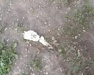grave site1.webp