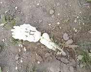 grave site2.webp