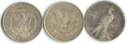 Morgan_Peace_2.webp