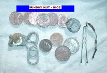 1211NUT.webp