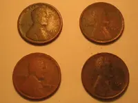Rubys Yard Wheaties1.webp