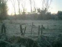 CIMG0077.webp