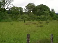 S4020442.webp