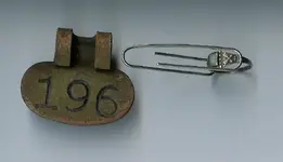 silver ring and cow tag back.webp