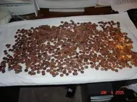 pennies 2.webp