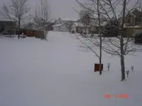 snow.webp