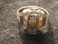 Rings 008.webp