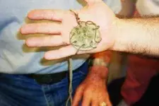 artifact2.webp