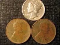 merc and wheats.webp