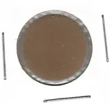 blank dime.webp