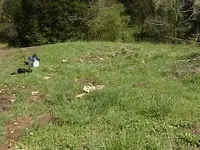 farm house site-1 003.webp