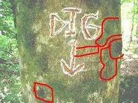 What to do with this symbol 3.webp