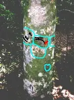 What to do with this symbol (2).webp