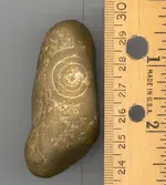 fossil.webp