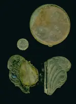12_11_relics2 (Large).webp