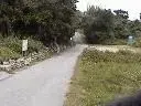 IMGA0014.webp