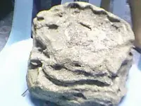 stone.webp