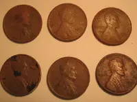 Rubys yard wheaties5.webp
