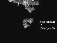 Tea island NY.webp