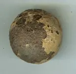 ball2.webp