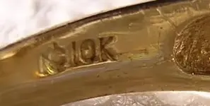 Edgewood Gold Ring 2 2-11-06.webp