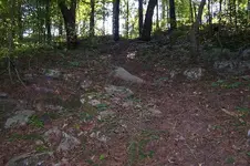1018woodsedge.webp