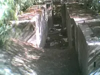 koch 2007.webp