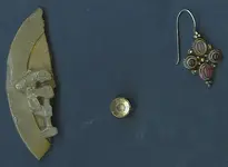 Earring and Buckle.webp
